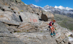 271869645 1017576235492153 8212508431785338948 n