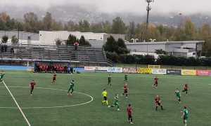 8140623f 4683 4bc6 a843 96acc701cb30