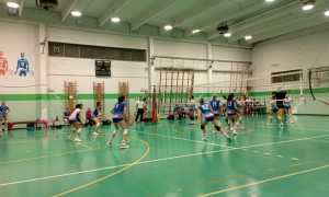 AFVolley Rosaltiora