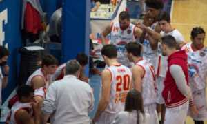 Basket oleggio squali