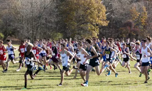 Schermata 2024 11 22 alle 13.52.09