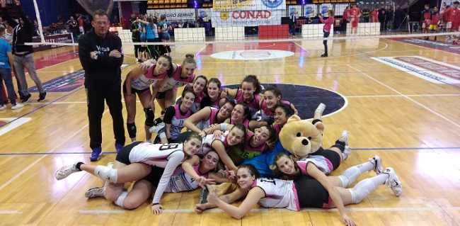 bear wool virtus biella