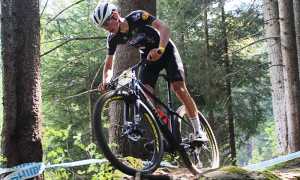 betteo bici curva tronco