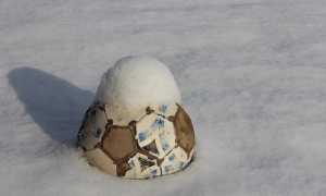 calcio palla neve