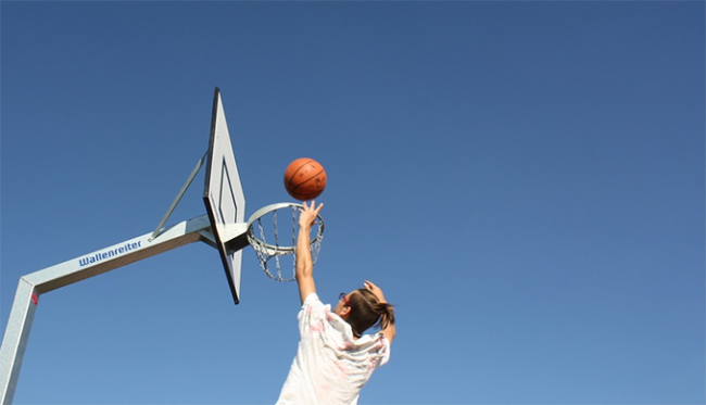 canestro domo basket