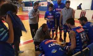 cipir crocetta presentazione