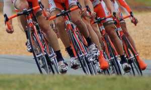 cyclists 1851269 1920