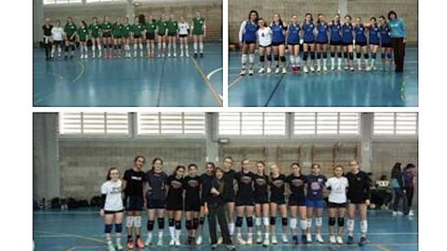 fermi campionati pallavolo