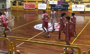 firenze oleggio basket