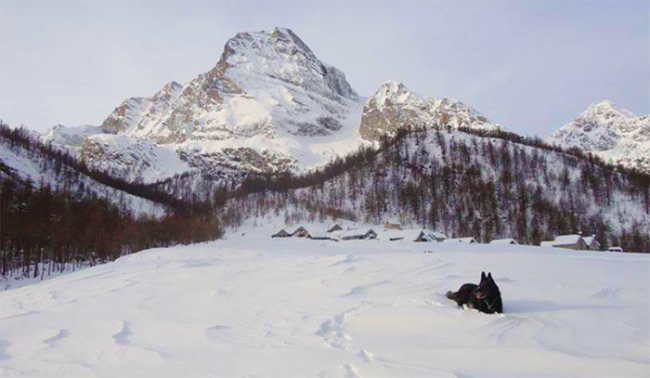 monte leone inverno alpe veglia foto facebook