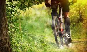 mountainbike