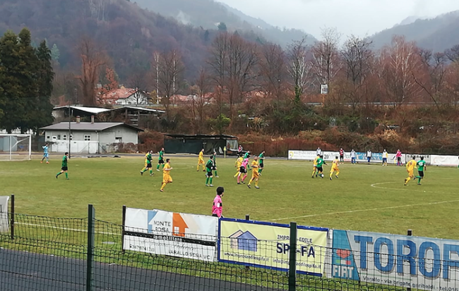 piedimulera doufur mar 19