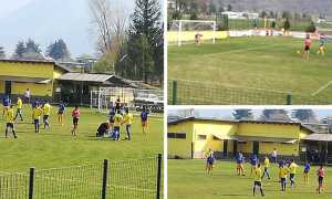 piedimulera sparta mix