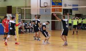 poli opposti pavic romagnano