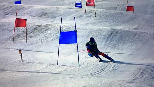 sci discesa slalom paletti