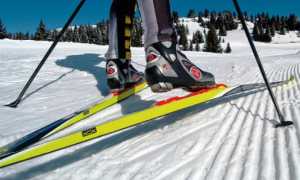 sci nordico generica scarpe