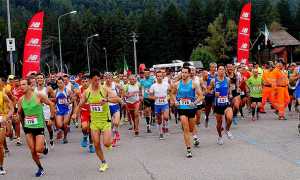 sgamelaa 16 vigezzo partenza