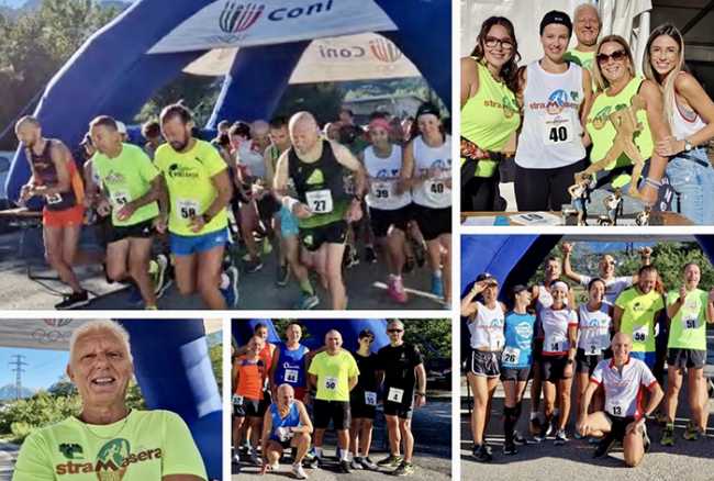 stramasera 22 pianta mix