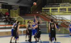 vinavil cipir alessandria palla due