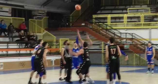 vinavil cipir alessandria palla due