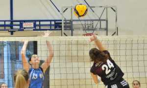 volley vercelli