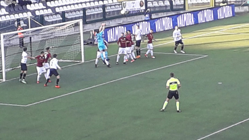 pro arezzo 6