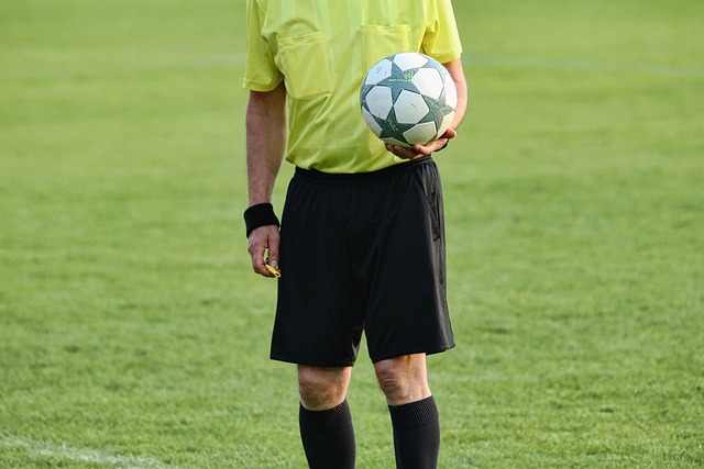 arbitro palla