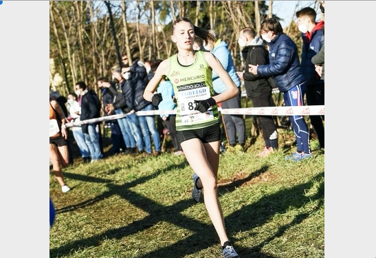 Schermata 2022 11 07 alle 16.48.13